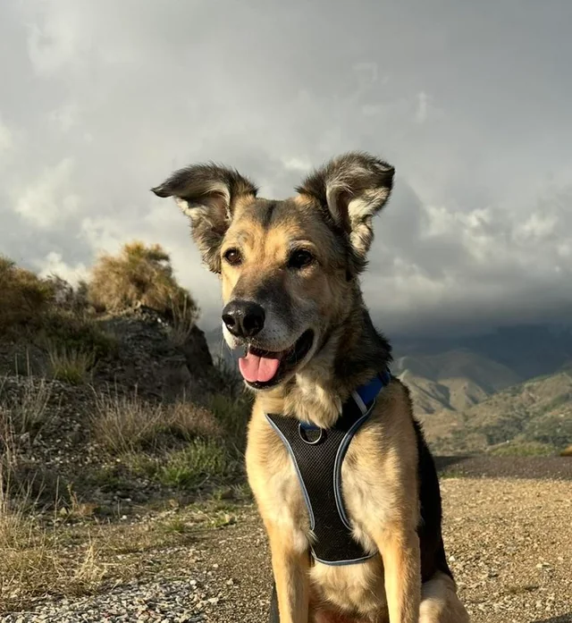 Before transformation