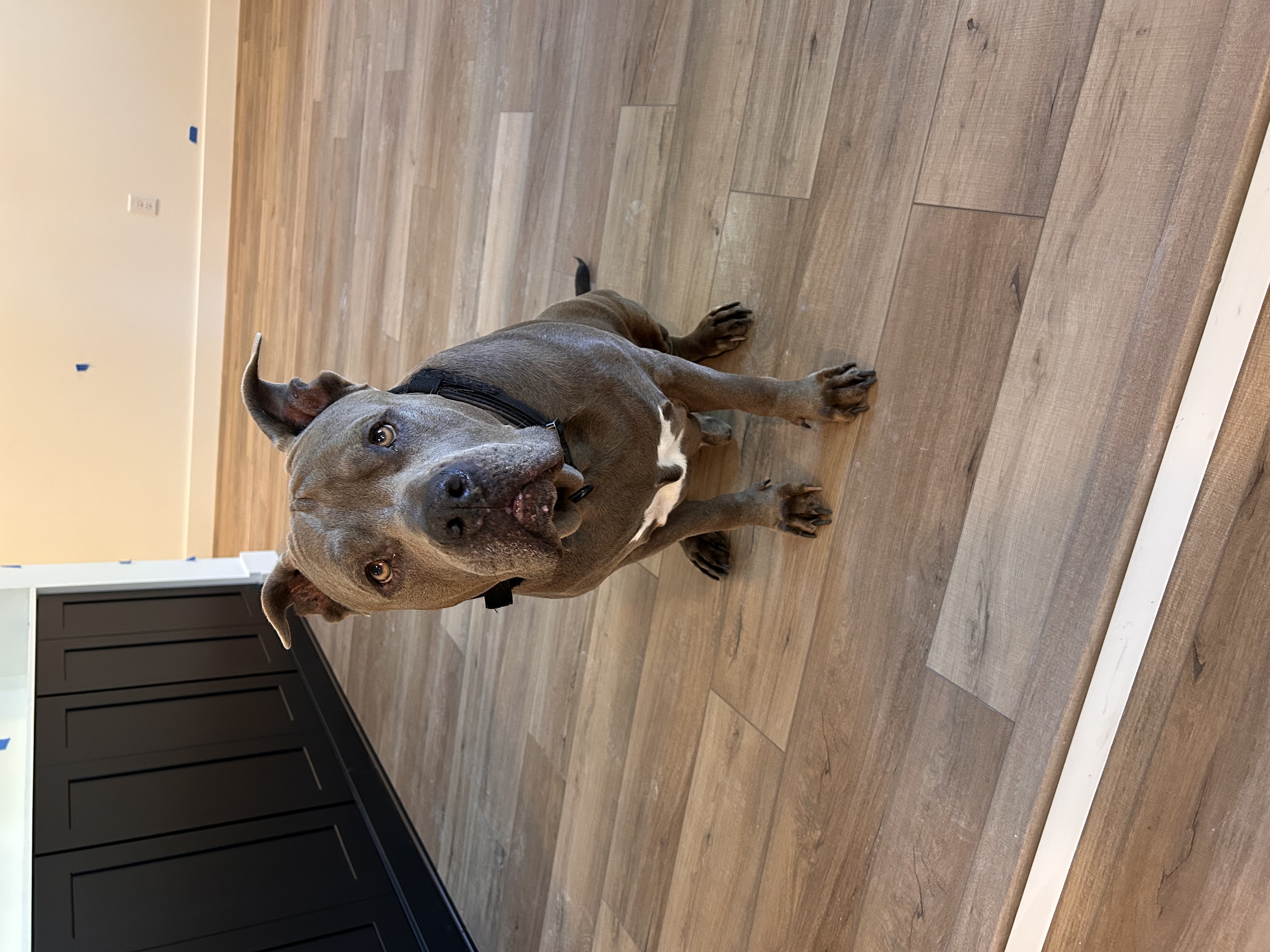 Before transformation