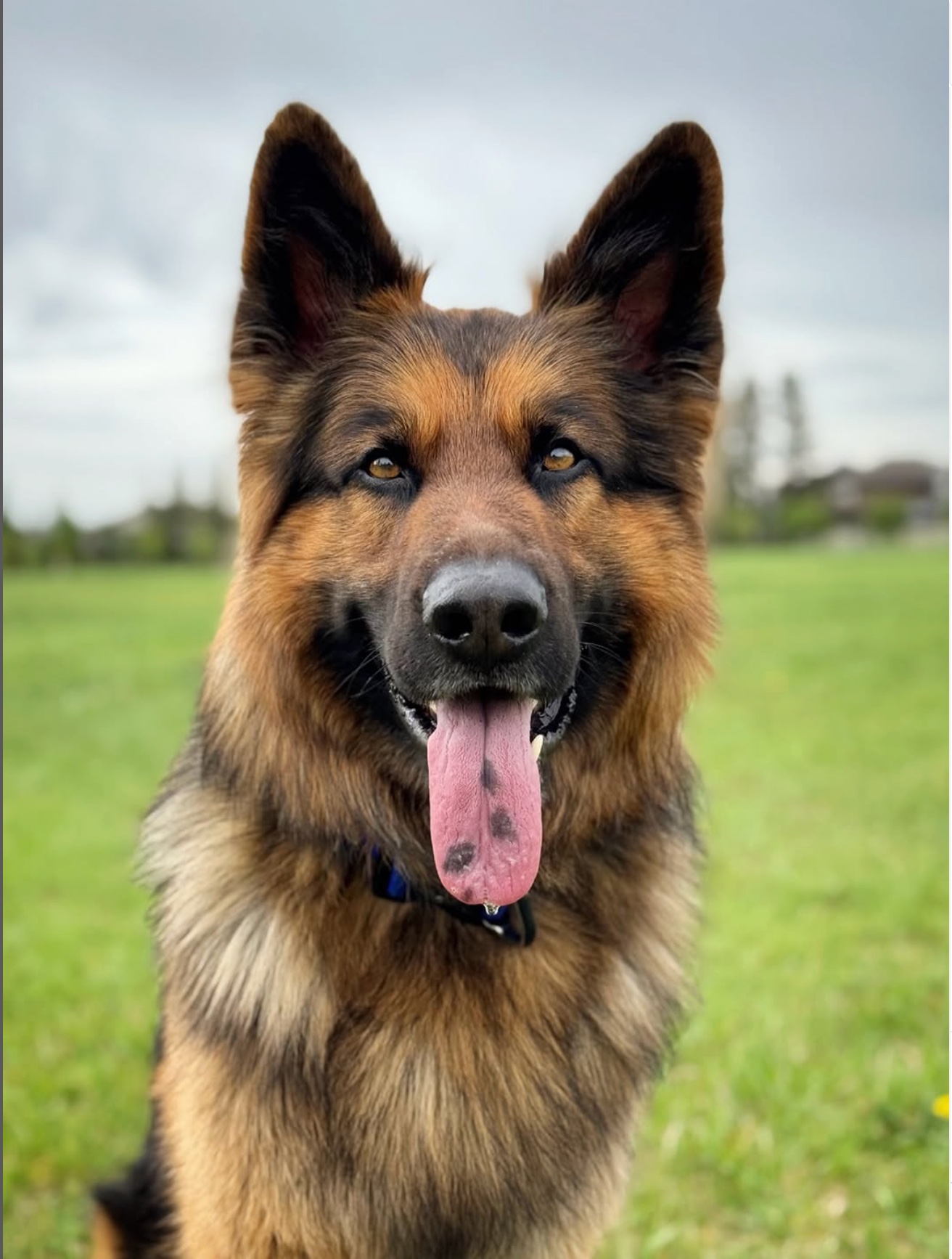 Before transformation